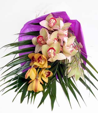  stanbul Taksim internetten iek siparii  1 adet dal orkide buket halinde sunulmakta