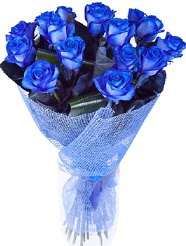 9 adet mavi gülden buket çiçeği  İstanbul Taksim çiçekçi telefonları 