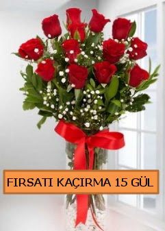  15 İthal kırmızı gül büyük başlı orjinal  İstanbul Taksim çiçek , çiçekçi , çiçekçilik 