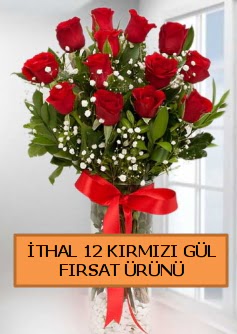  İthal kırmızı 12 adet kaliteli gül  İstanbul Taksim çiçek gönderme 