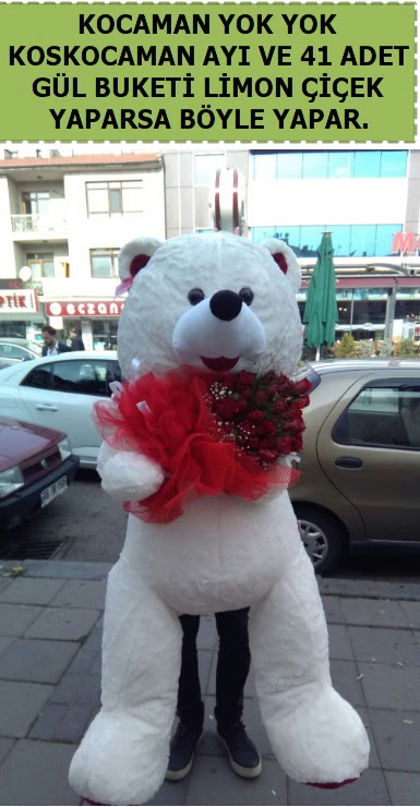 Koskocaman beyaz ayı ve 25 adet gül  İstanbul Taksim çiçek , çiçekçi , çiçekçilik 