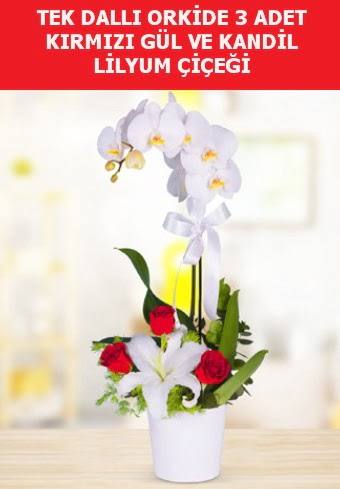 Tek dall orkide 3 gl ve kandil lilyum  stanbul Taksim online ieki , iek siparii 