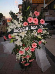 kazablanka,gerbera,sebboy ferforje  İstanbul Taksim çiçek satışı 