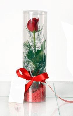  İstanbul Taksim online çiçekçi , çiçek siparişi  Silindir vazoda tek kirmizi gül