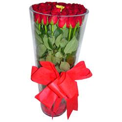  İstanbul Taksim uluslararası çiçek gönderme  12 adet kirmizi gül cam yada mika vazo tanzim