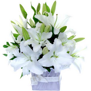  İstanbul Taksim online çiçekçi , çiçek siparişi  2 dal cazablanca vazo çiçeği