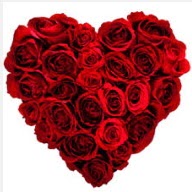  İstanbul Taksim çiçek siparişi vermek  19 adet kırmızı gülden kalp tanzimi