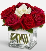 Tek aşkımsın çiçeği 8 kırmızı 1 beyaz gül  İstanbul Taksim çiçek siparişi vermek 