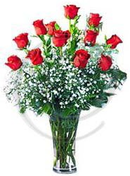 vazo içerisinde 12 adet kırmızı gül  İstanbul Taksim çiçek siparişi vermek 