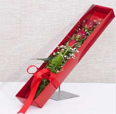 Kutu içerisinde 3 adet kırmızı gül  İstanbul Taksim internetten çiçek satışı 