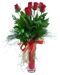 vazo içerisinde 5 kırmızı gül  İstanbul Taksim çiçek online çiçek siparişi 