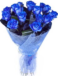 9 adet mavi gülden buket çiçeği  İstanbul Taksim çiçekçi telefonları 