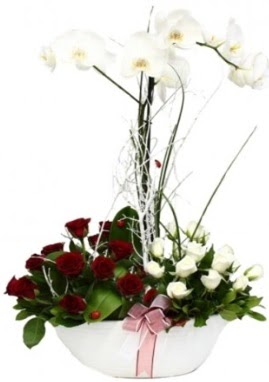 Tek dal beyaz orkide 8 beyaz 8 kırmızı gül  İstanbul Taksim çiçek gönderme sitemiz güvenlidir 