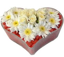 Kalp içerisinde 7 beyaz gül ve papatyalar  İstanbul Taksim ucuz çiçek gönder 