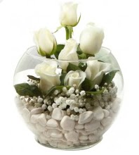 11 adet beyaz gül cam fanus çiçeği  İstanbul Taksim anneler günü çiçek yolla 