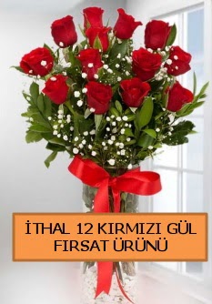  İthal kırmızı 12 adet kaliteli gül  İstanbul Taksim çiçek gönderme 