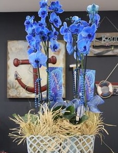 4 dallı özel mavi orkide  İstanbul Taksim çiçek siparişi sitesi 