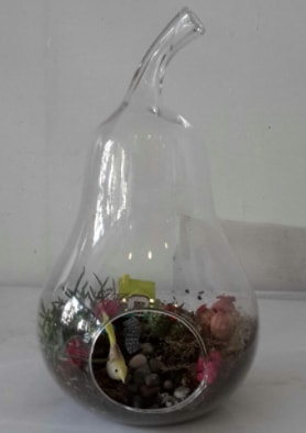 Armut orta boy cam terrarium tanzim  İstanbul Taksim İnternetten çiçek siparişi 