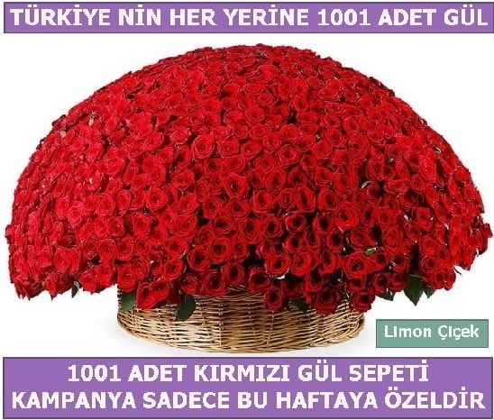 1001 Adet kırmızı gül Bu haftaya özel  İstanbul Taksim güvenli kaliteli hızlı çiçek 