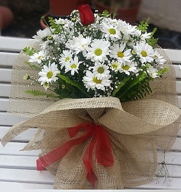 Papatya 1 adet kırmızı gül buketi  İstanbul Taksim hediye çiçek yolla 