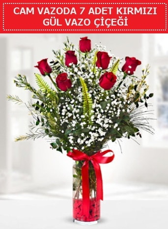 Cam vazoda 7 adet kırmızı gül çiçeği  İstanbul Taksim yurtiçi ve yurtdışı çiçek siparişi 