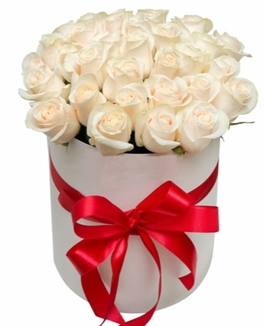 Kutuda özel 27 beyaz gül aranjmanı  İstanbul Taksim internetten çiçek siparişi 