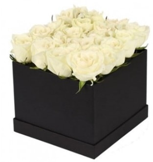 Kare kutuda 19 adet beyaz gül aranjmanı  İstanbul Taksim İnternetten çiçek siparişi 