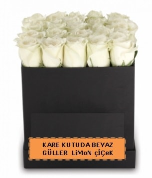 Kare kutuda 17 adet beyaz gül tanzimi  İstanbul Taksim çiçek , çiçekçi , çiçekçilik 
