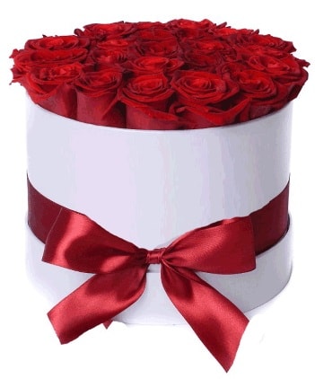 29 adet kırmızı gülden kutu çiçeği  İstanbul Taksim çiçek online çiçek siparişi 