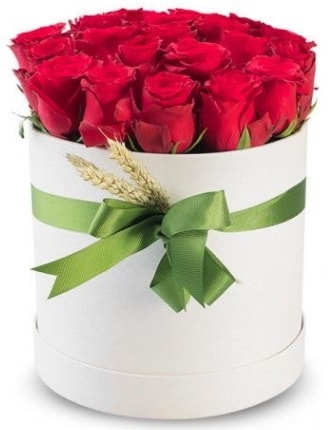 Özel kutuda 25 adet kırmızı gül çiçeği  İstanbul Taksim çiçek gönderme sitemiz güvenlidir 