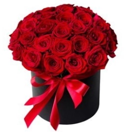 25 adet kırmızı gül kız isteme çiçeği  İstanbul Taksim ucuz çiçek gönder 